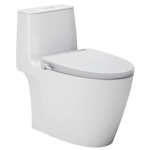 Bồn cầu 1 khối kết hợp nắp rửa cơ AC-902+CW-S32VN