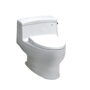 Bồn cầu 1 khối AC-4005VN