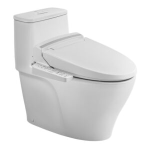Bồn cầu 1 khối kết hợp nắp rửa điện tử AC-989+CW-KB22AVN