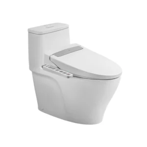 Bồn cầu 1 khối kết hợp nắp rửa điện tử AC-989+CW-H20VN