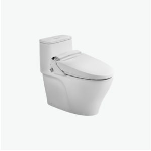 Bồn cầu 1 khối kết hợp nắp rửa điện tử AC-989+CW-KA22AVN