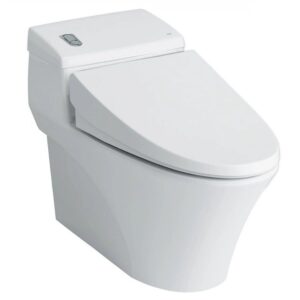 Bồn cầu 1 khối AC-1008VRN