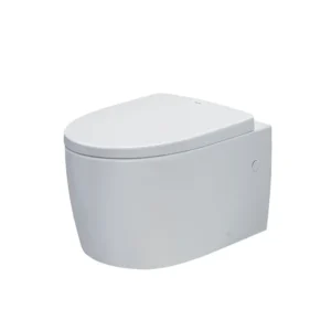 Bồn cầu treo tường AC-952VN