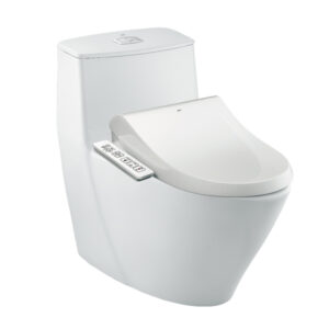 Bồn cầu 1 khối kết hợp nắp rửa điện tử AC-919R+CW-H17VN