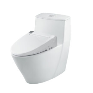 Bồn cầu 1 khối kết hợp nắp rửa điện tử AC-919R+CW-KA22AVN