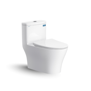 Bàn cầu một khối V36
