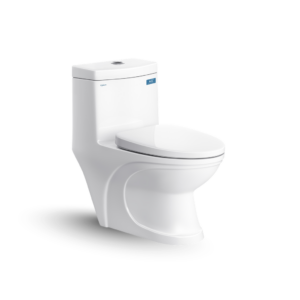 Bàn cầu một khối V39M