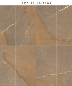 APA12487008