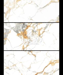 Gạch ốp lát APODIO  48881