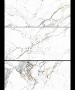 Gạch ốp lát APODIO  48884