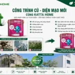 Sơn chống thấm SONBOSS